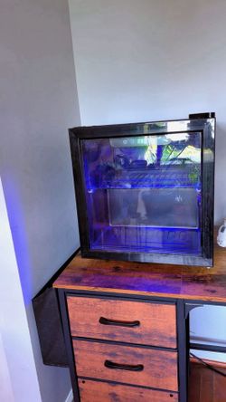 Mini Fridge with Glass Door and Blue LED