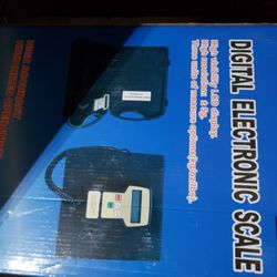 Digital Electronic Scale