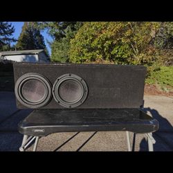 8" Subs In Custom Box