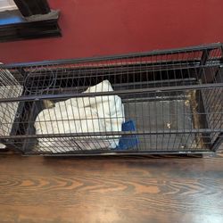 Guinea pig small Animal cage. 