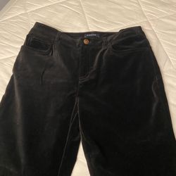 Jones New York Signature Velvet Pant