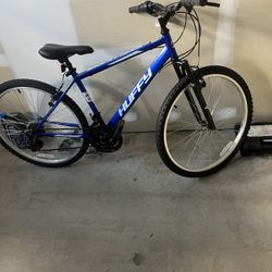 Brand New Bike 