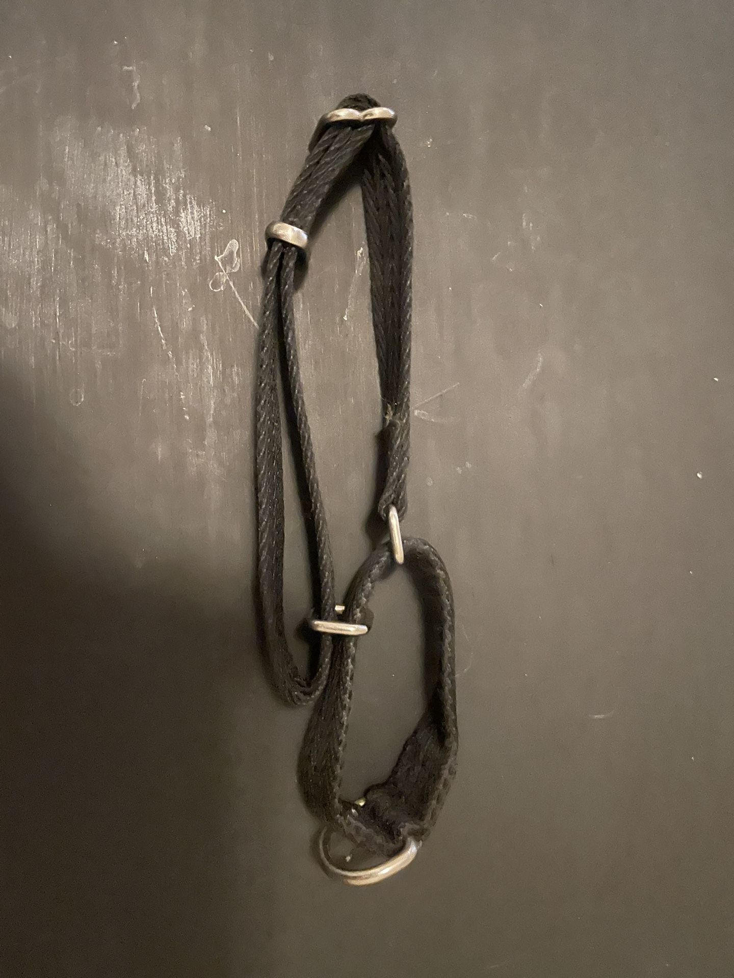 Dog Collar