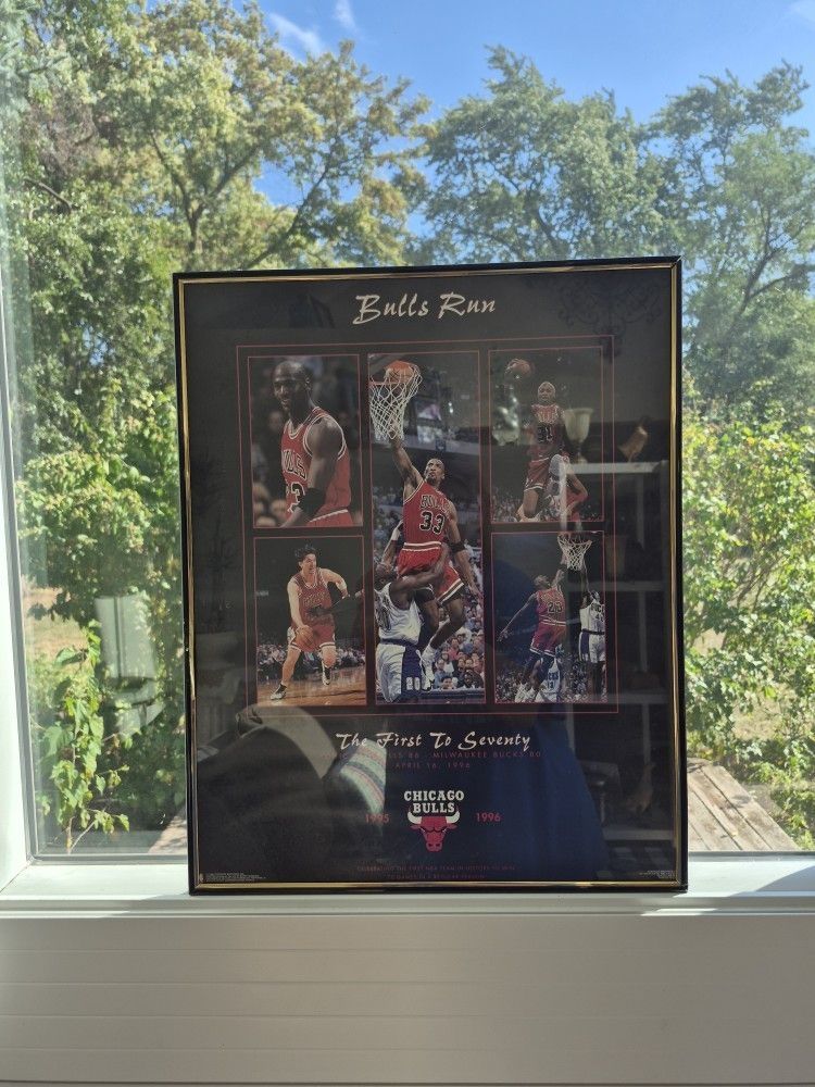 Chicago Bulls Picture 1(contact info removed) -Bulls RUN-