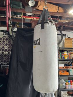 Everlasting Punching Bag