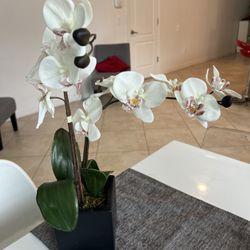 Fake Plant Orchid, Orquídea. From Homegoods