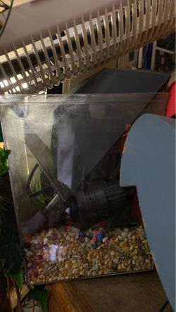 Betta tank