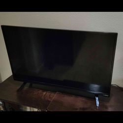TV -  Vizio. 28.5" x 16.5"