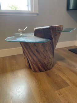 Organic modern side table. Functional sculpture. Tree trunk / glass end table