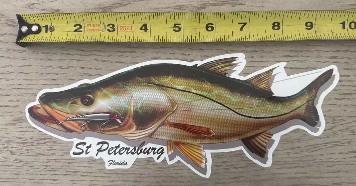 10” St Pete Snook Car Boat Sticker