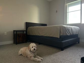 Full Size Upholstered Platform Bed Frame – $75 OBO