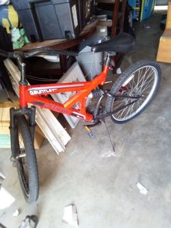 Gauntlet 🚲 bike