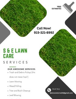 Yard Cleaning