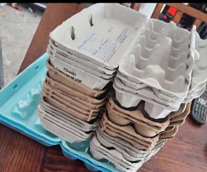 egg cartons