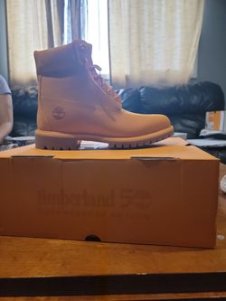 Timberland limited edition 50 of an icon