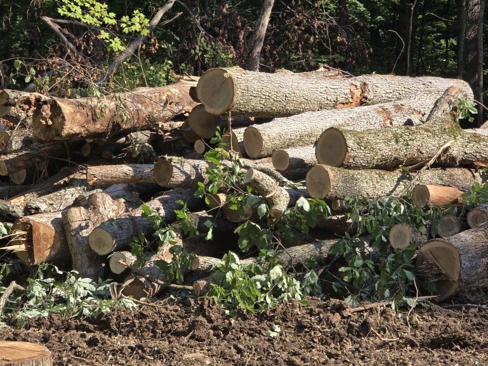 Firewood & Logs For Sale