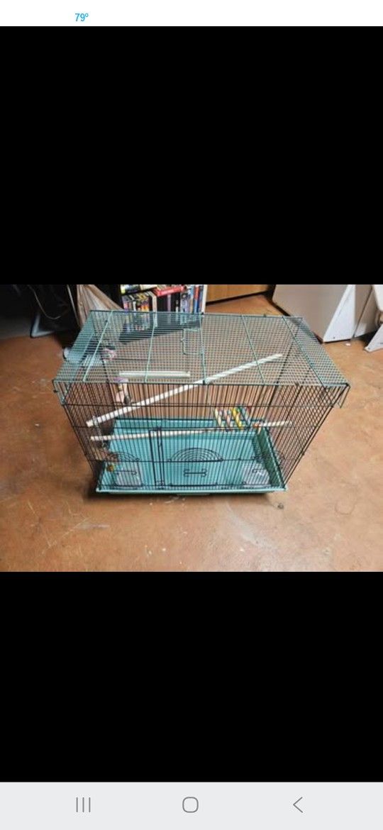 Bird Cage
