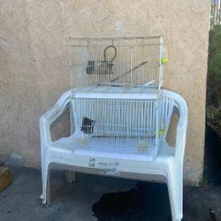 Cages For Bird