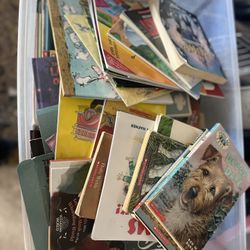 Assorted Children’s Picture And Chapter Books