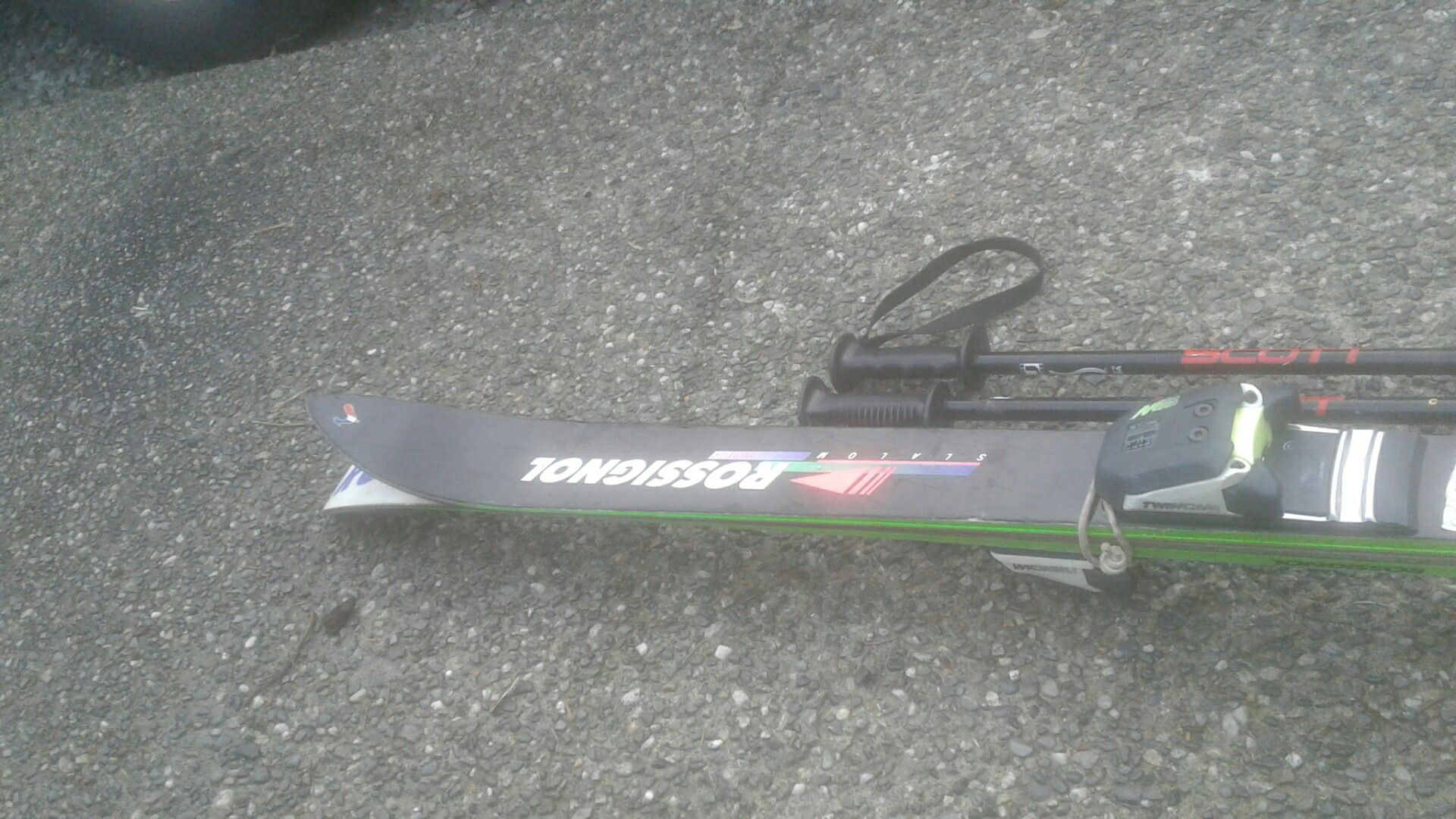Rossignal.54"