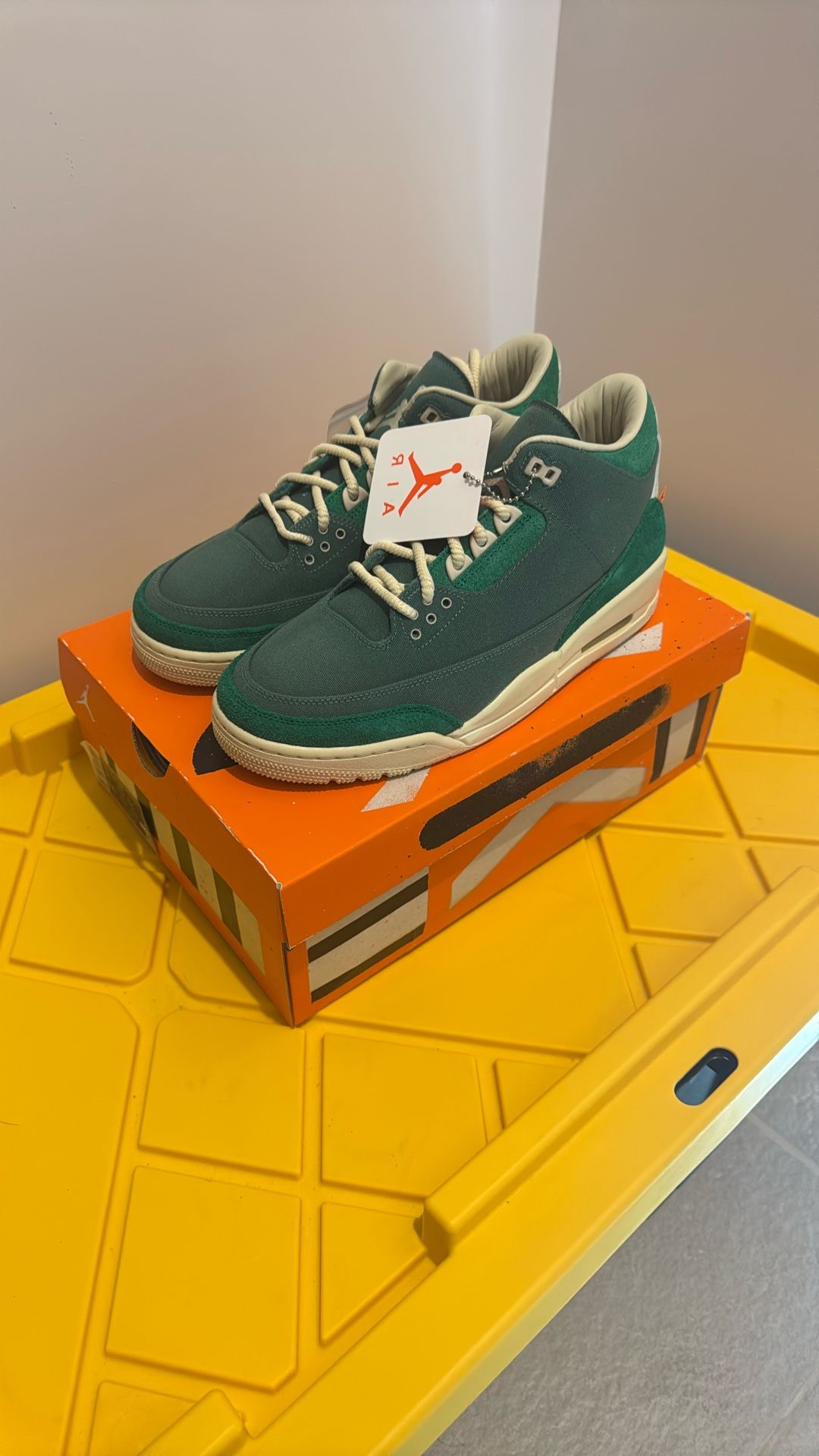 Air Jordan 3 Nina Chanel Abney US 9.5 M NEW