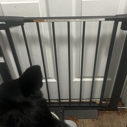 Dog/baby Gates