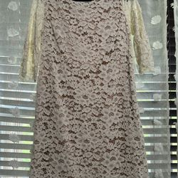 Lace Overlay Dress