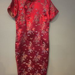 Oriental Ladies  Dress Size Large