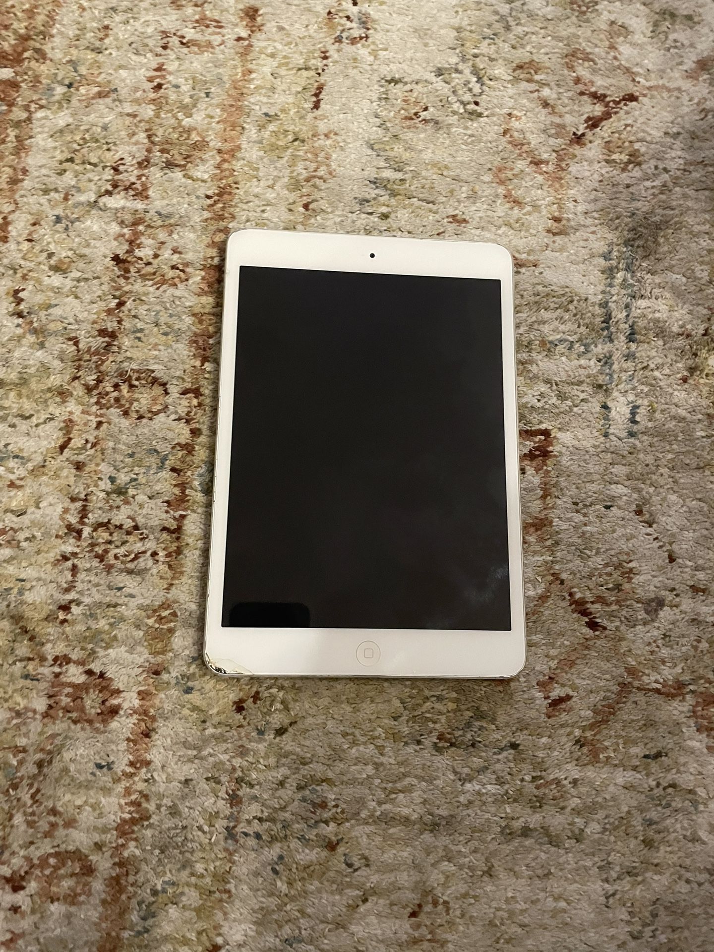 iPad Mini 2
