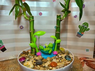 Turtle mini garden 🐢