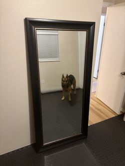 Floor Mirror 65x31