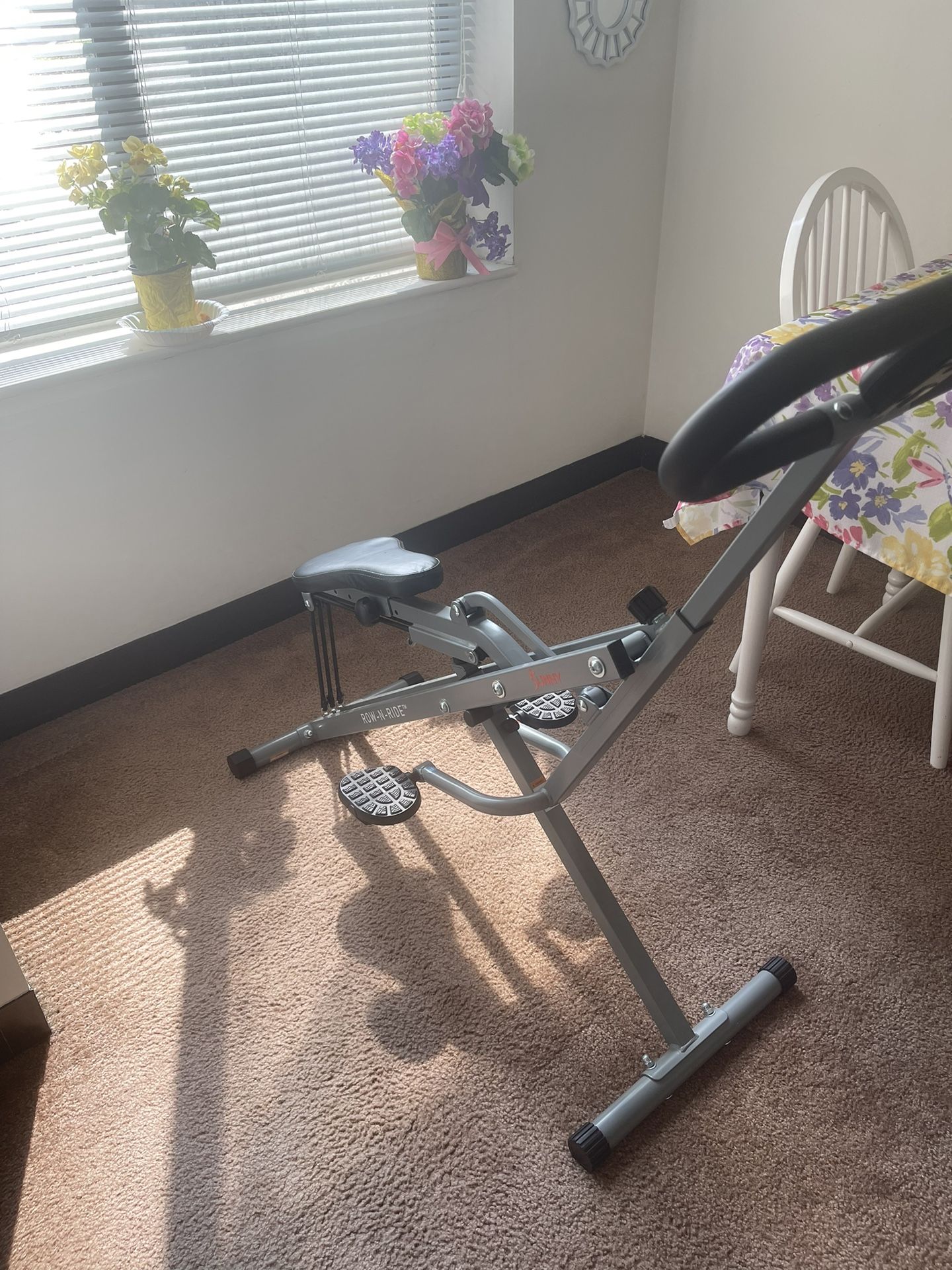 Sunny Squat Rider Machine