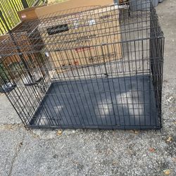 Dog 🐶 Cage 
