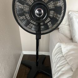 Standing Fan