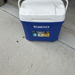 Igloo Cooler