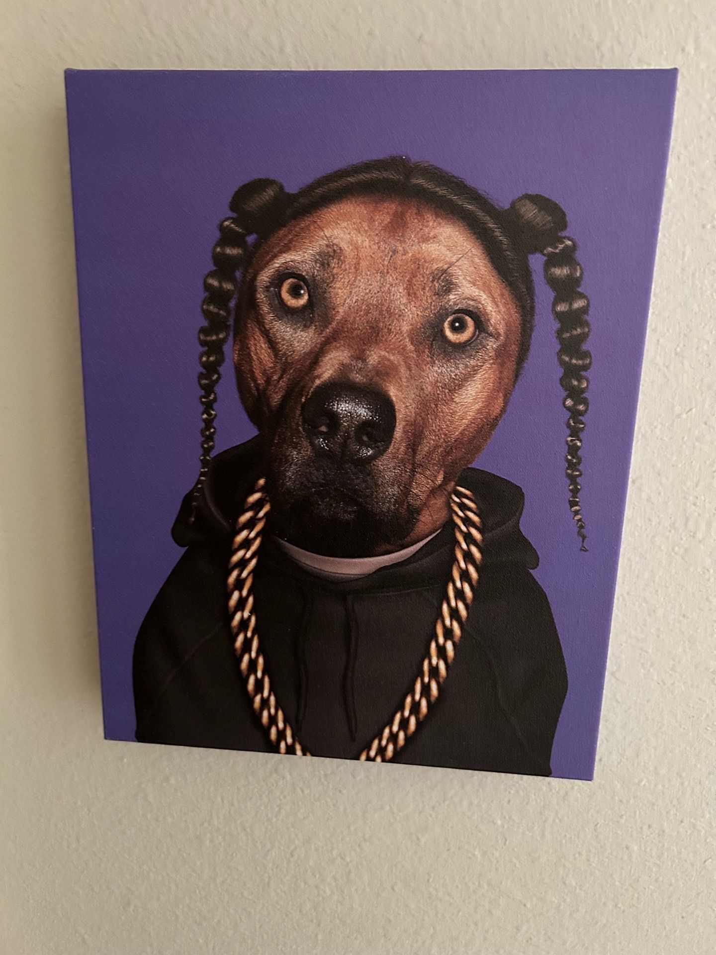 Fun canvas print
