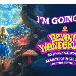 2-day GA beyond wonderland tickets