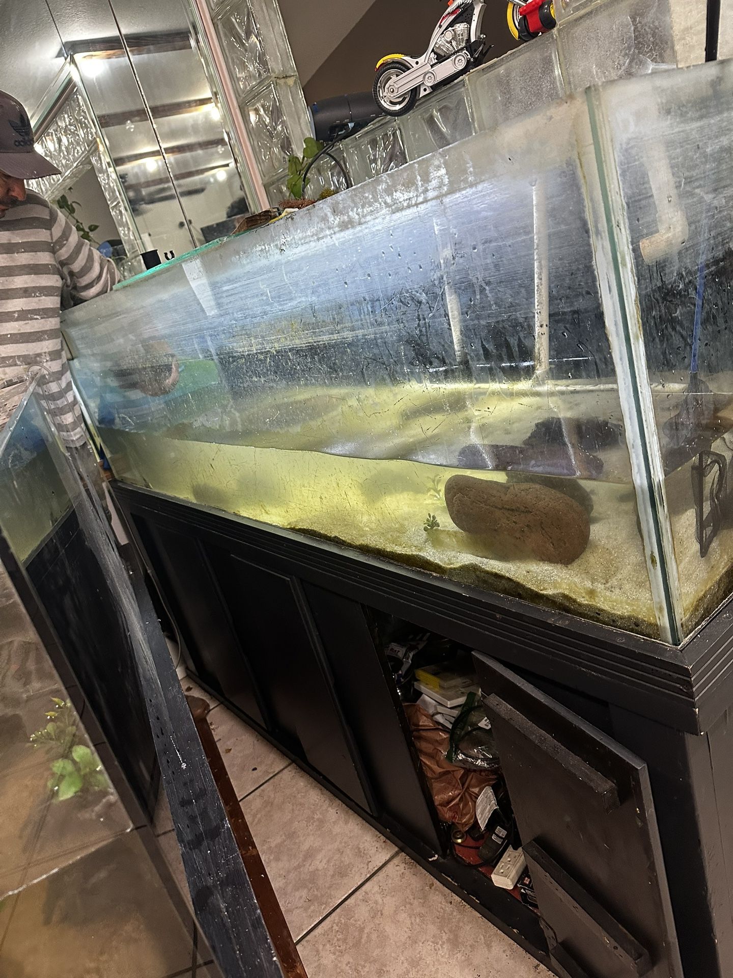 Fish tank