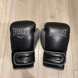 Everlast Powerlock 2 Hook & Loop Boxing Gloves