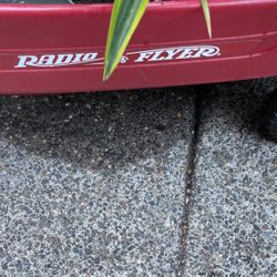 Brand New Wagon In Excellent Condition 