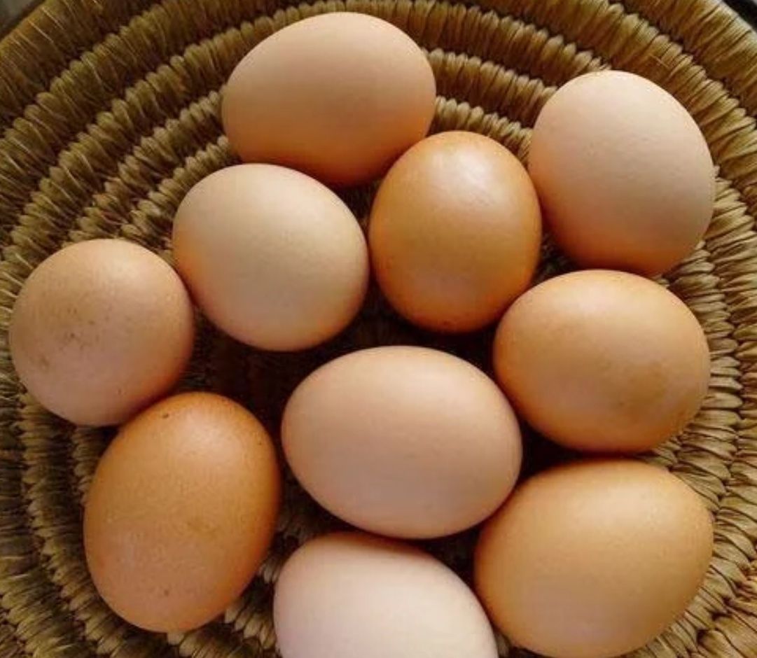 Organic Eggs