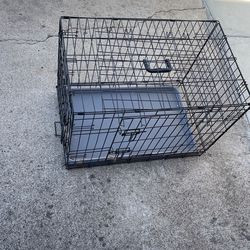 Dog Kennel 