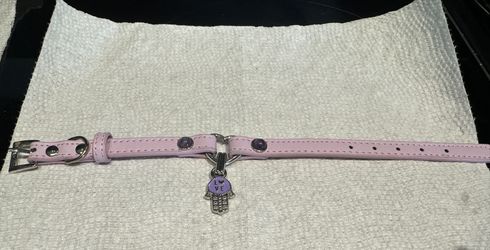 Cute Cat Collar With Hamsa Hand 🪬 