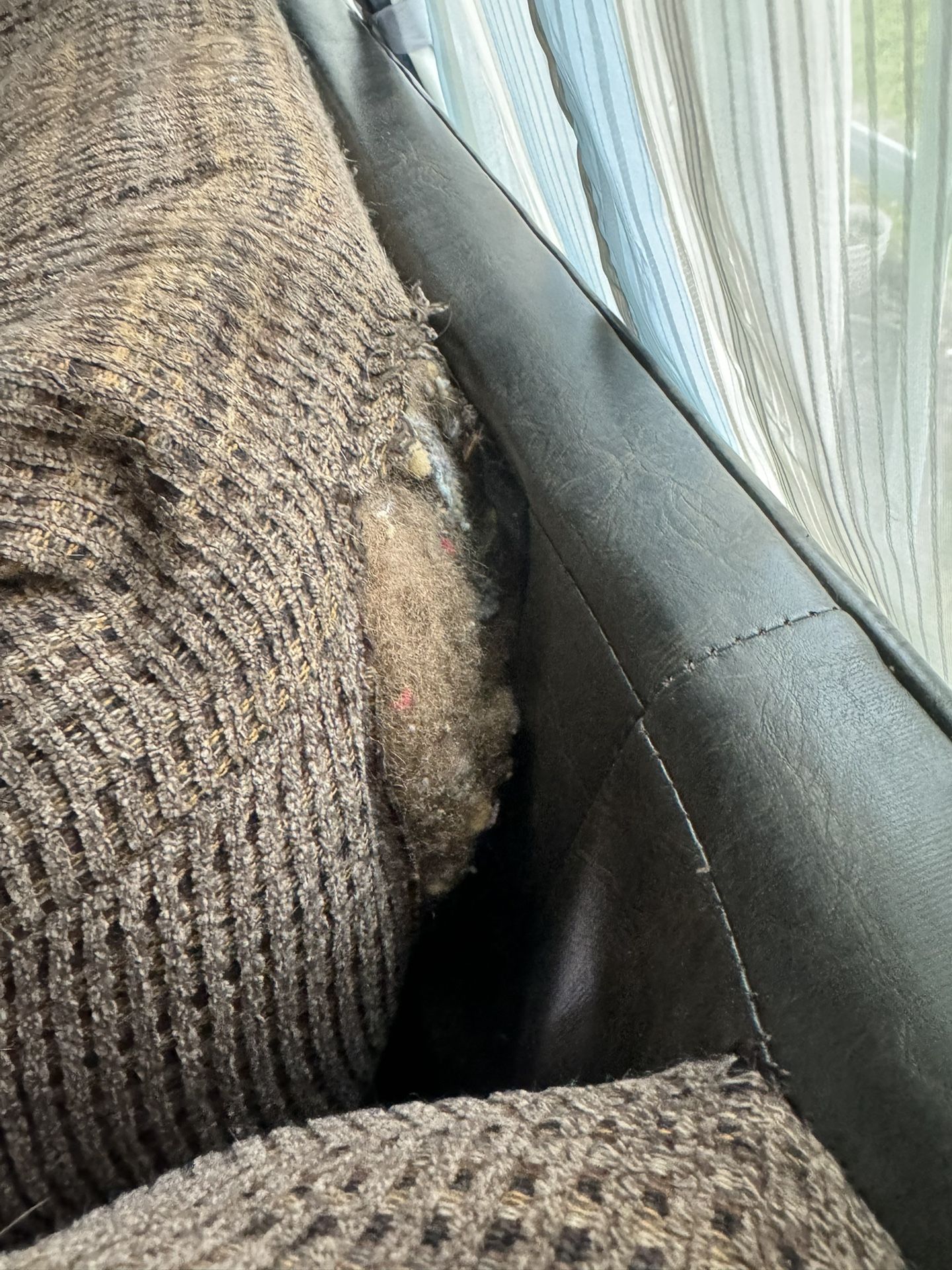 FREE Sofas for Sale in Montgomry Vlg, MD OfferUp