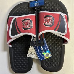 South Carolina gamecocks