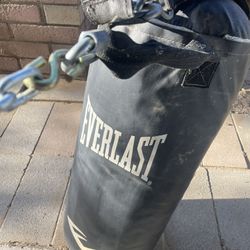 Brand new EVERLAST punching bag with chain
