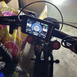 Road Runner Pro V1 Electric bike