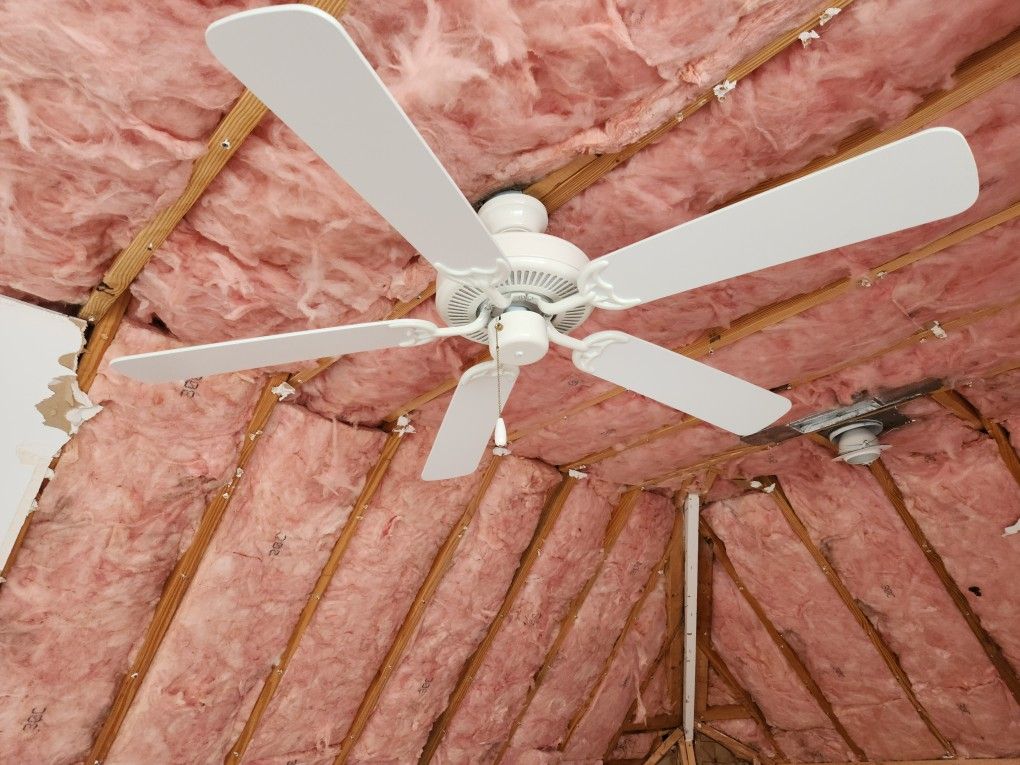 Fan