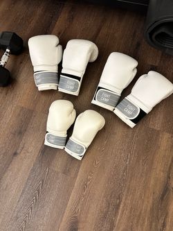 Fight Camp premium boxing gloves.