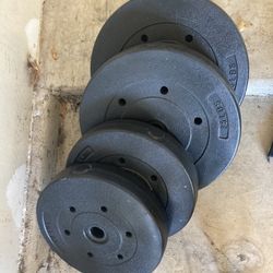 Weight Bench And Weights